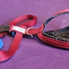 Skijoring/Sledding/Canicross Harness Ripstop padding Red 26 Neck  CLEARANCE