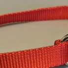Collar - Klondike 1" Bright Red Medium STEEL Side Release