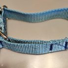Collar - Alaskan 1" Turquoise Small  CLEARANCE