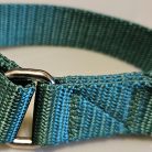 Collar - Klondike 1" Green Small  CLEARANCE