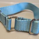 Collar - Klondike 1" Turquoise Small  CLEARANCE