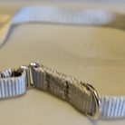 Collar - Klondike 3/4" Silver Large CLEARANCE