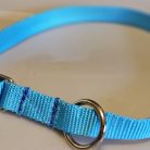 Collar - Klondike 3/4" Turquoise small CLEARANCE