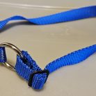 Collar - Sierra 3/4" Royal Medium  CLEARANCE