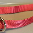 Collar - Klondike 3/4" Bright Red Large CLEARANCE