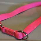 Collar - Klondike 3/4" Pink Large CLEARANCE