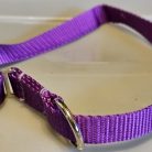 Collar - Klondike 3/4" Purple Large CLEARANCE