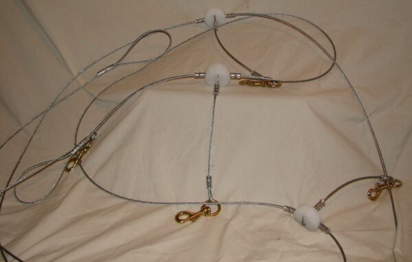Wire harness with golden clips