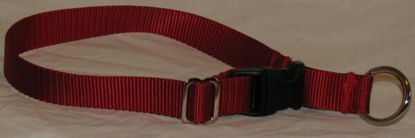 Sturdy red collar with black buckle