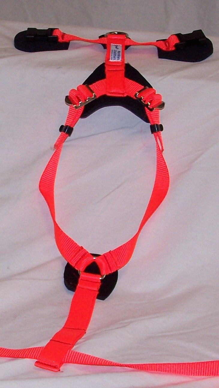 Red safety harness on white background