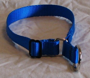 Blue dog collar on white background