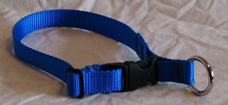 Simple blue collar for dogs