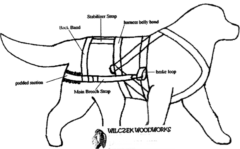 Illustration of dog harness components
