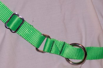 Nylon strap with metal loops