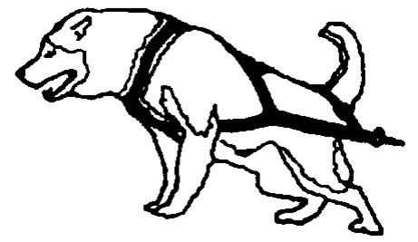 Dog wearing a harness illustration