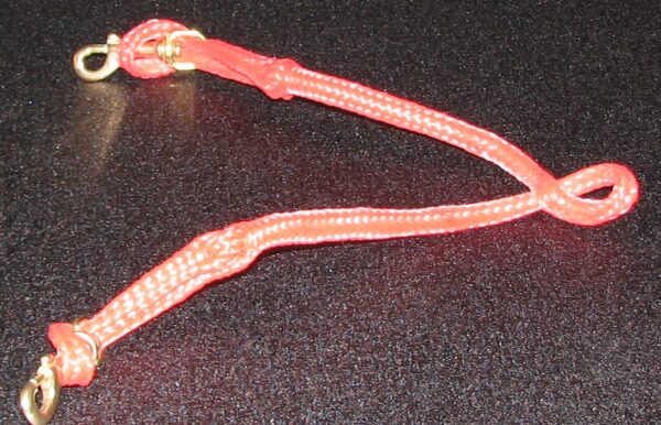 Bright red braided leash with clips