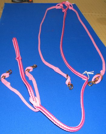 Pink horse bridle on blue surface