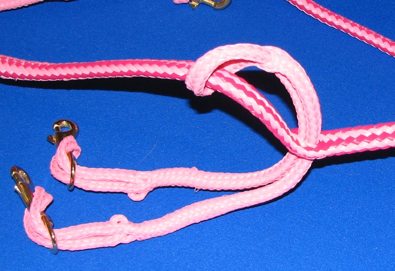 Pink ropes with metal hooks on blue background