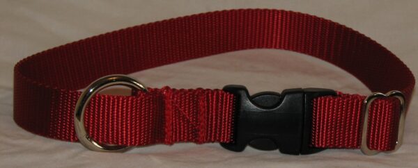 Red dog collar with metal ring