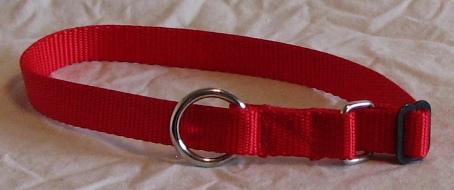 Bright red adjustable dog collar