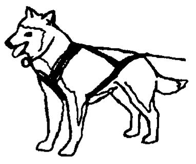 Outline drawing of a harnessed dog