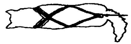Abstract line drawing of a horse