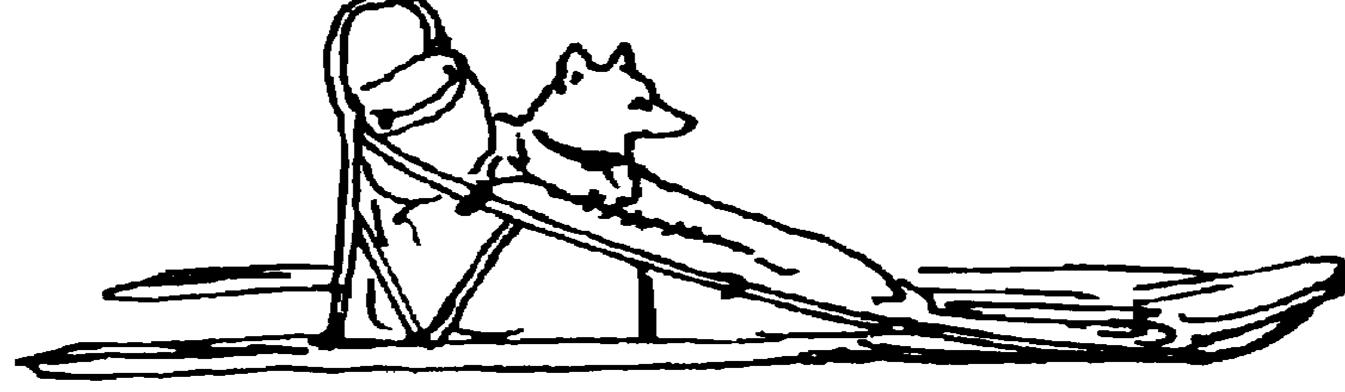 Dog on skis illustration