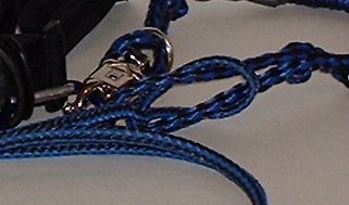 Blue rope with metal clip