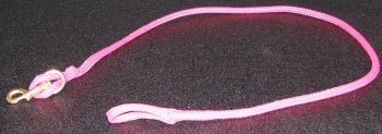 Pink leash with metal clip