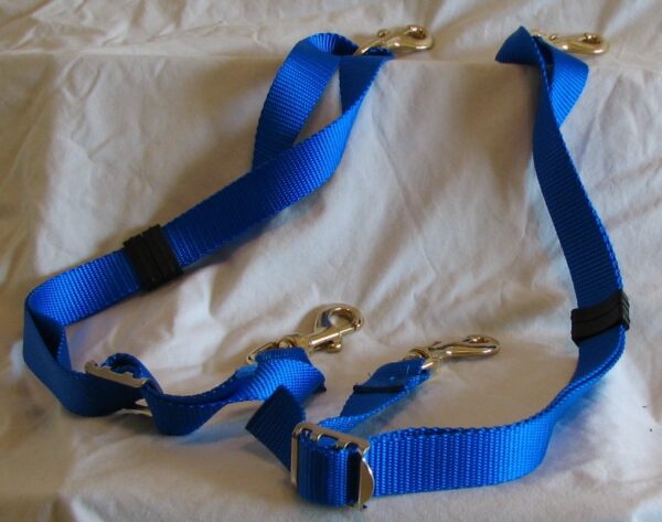 Blue dog leash with metal clips