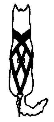 Black and white cat drawing
