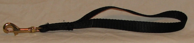 Pet leash featuring gold clip