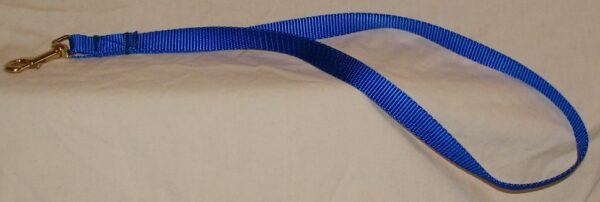 Simple blue pet leash with clip