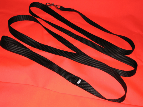 Black dog leash on red background