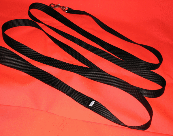 Black dog leash on red background