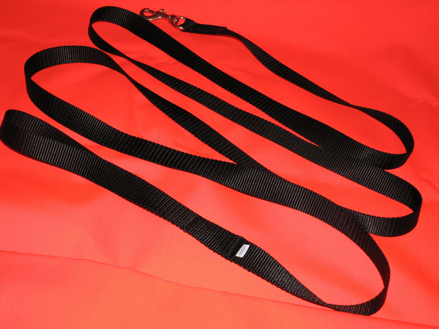Black dog leash on red background