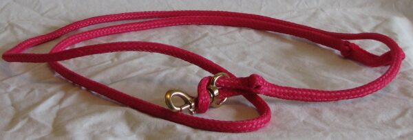 Bright red pet leash coiled neatly