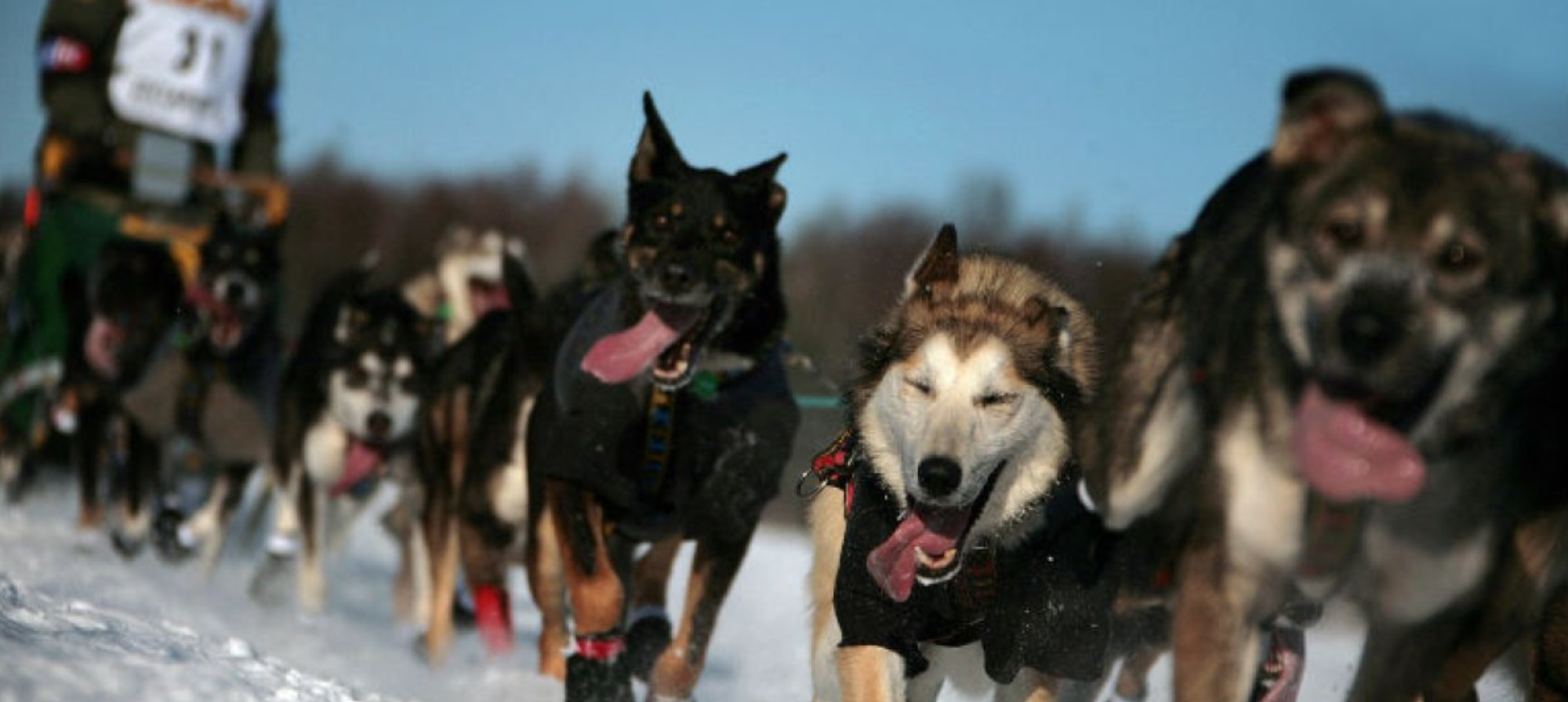 Nordkyn Outfitters