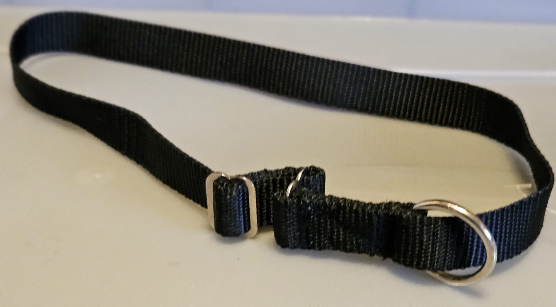 Collar – Klondike 3/4″ Black small CLEARANCE