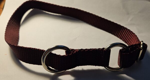 Collar – Klondike 3/4″ Burgundy Medium CLEARANCE