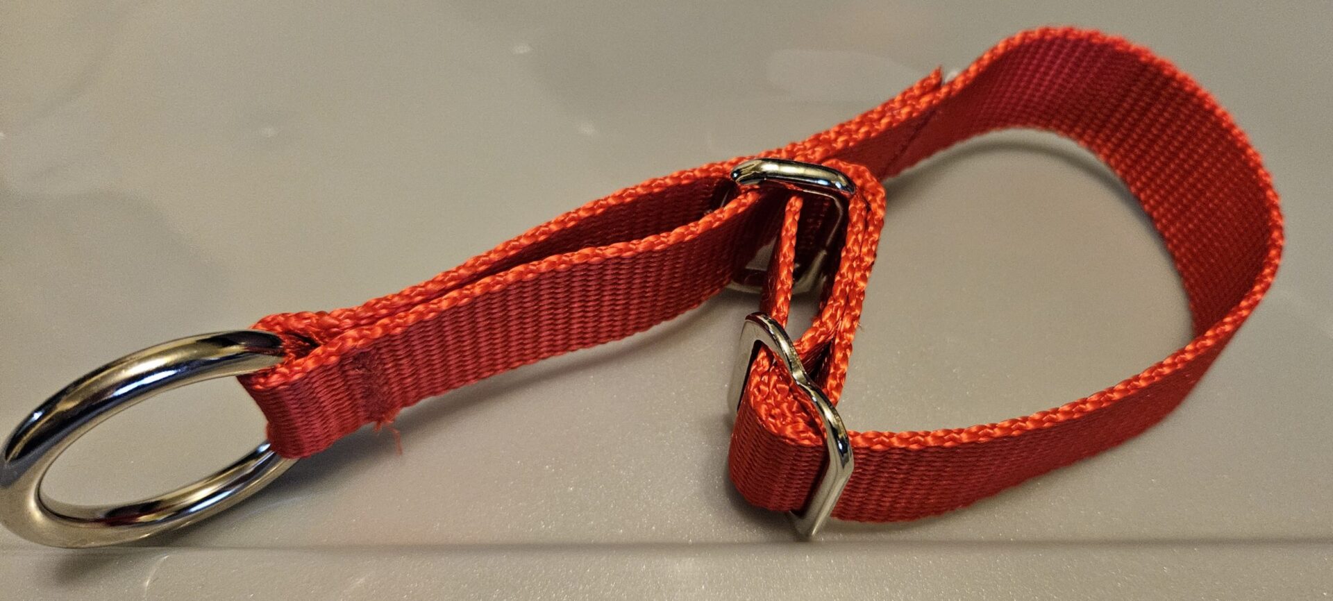 Collar – Alaskan 1″ Bright Red Small CLEARANCE