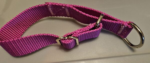 Collar – Alaskan 1″ Magenta Small CLEARANCE