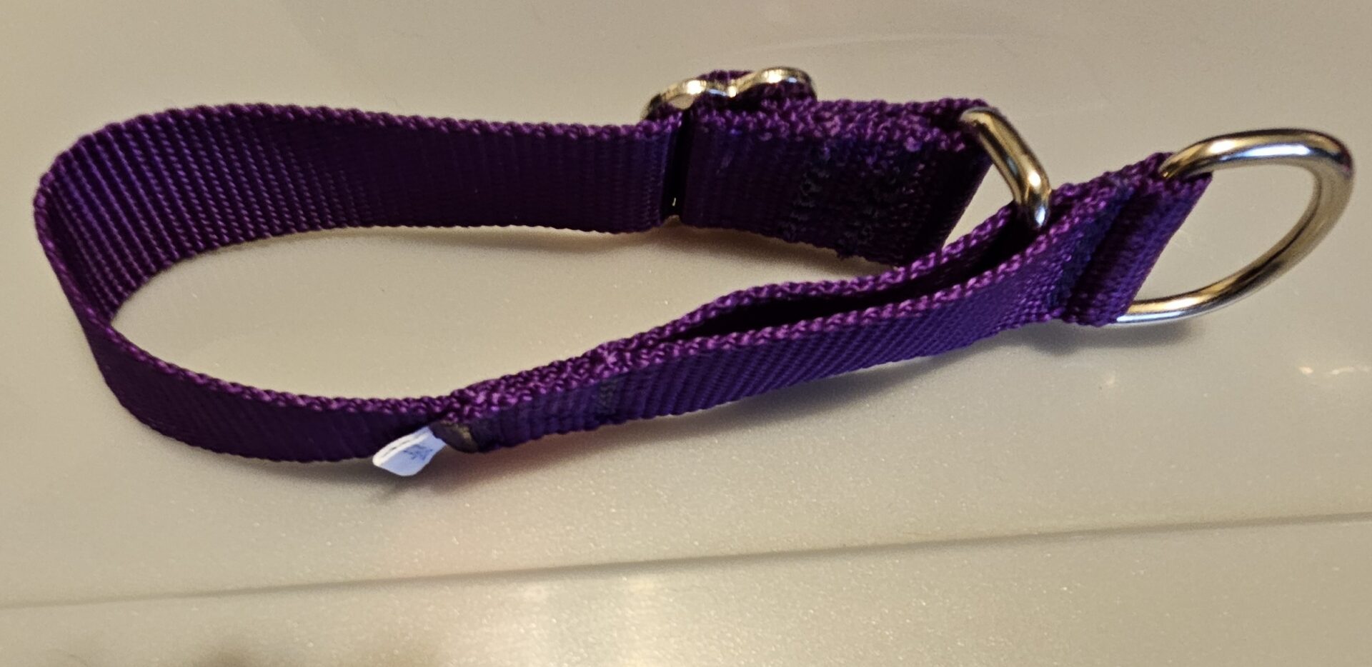 Collar – Alaskan 1″ Purple Small CLEARANCE