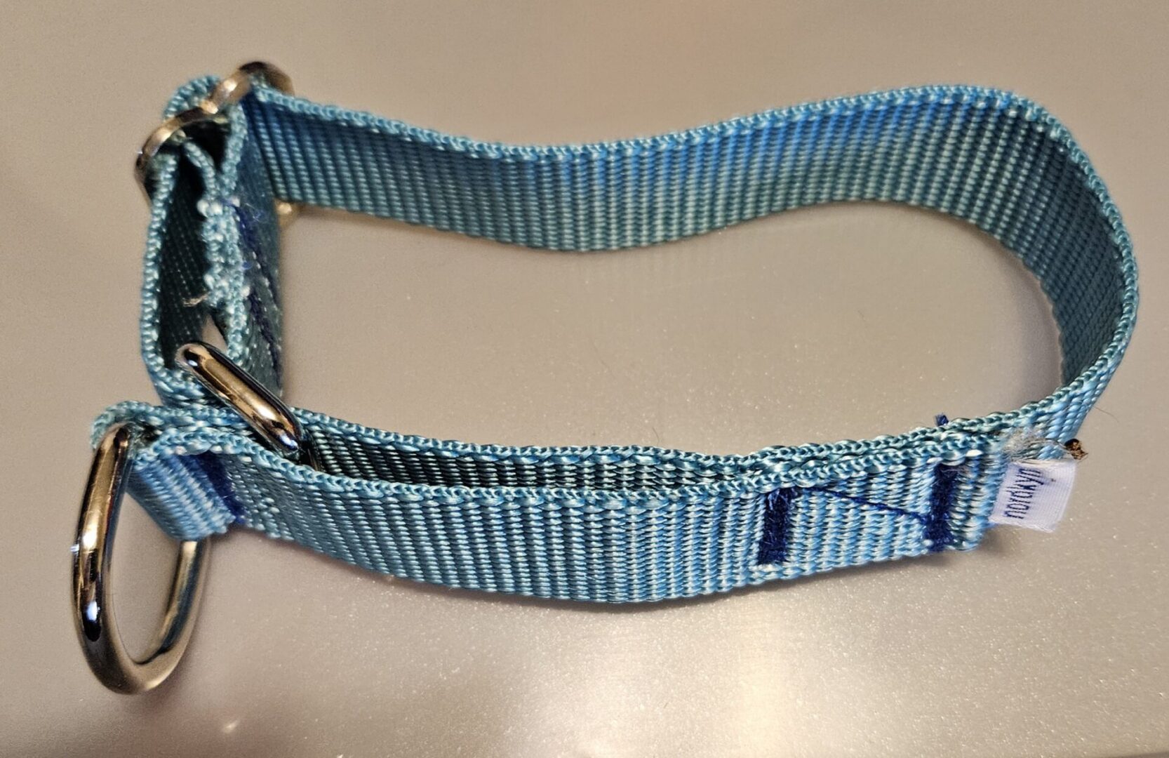 Collar – Alaskan 1″ Turquoise Small CLEARANCE