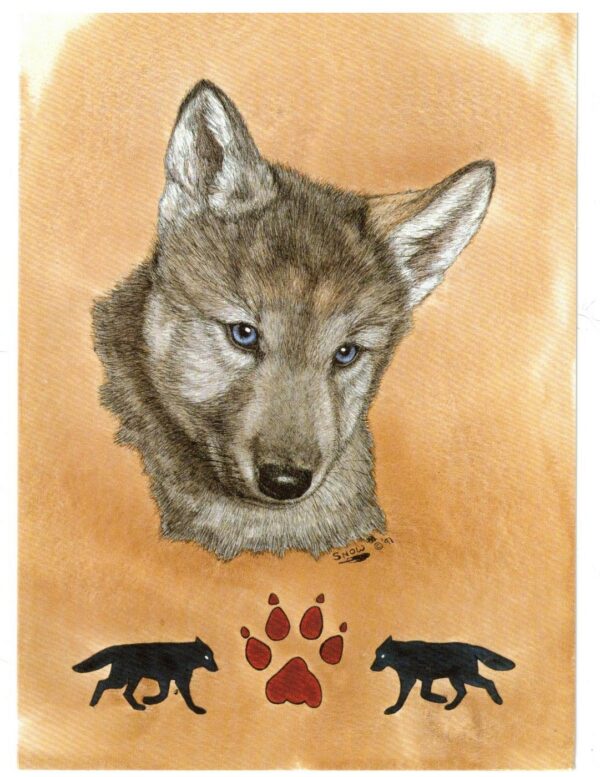 NOTECARD Blue Eyed Wolf Child by Carol Snow