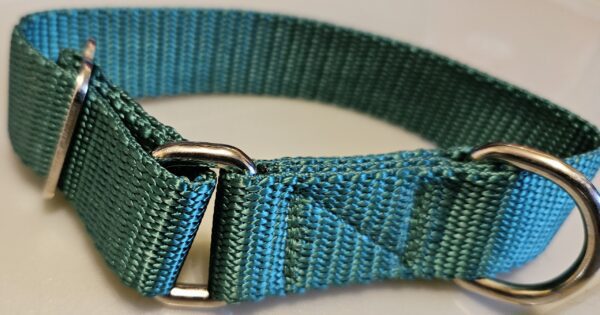 Collar – Klondike 1″ Green Small CLEARANCE
