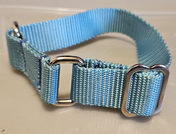 Collar – Klondike 1″ Turquoise Small CLEARANCE