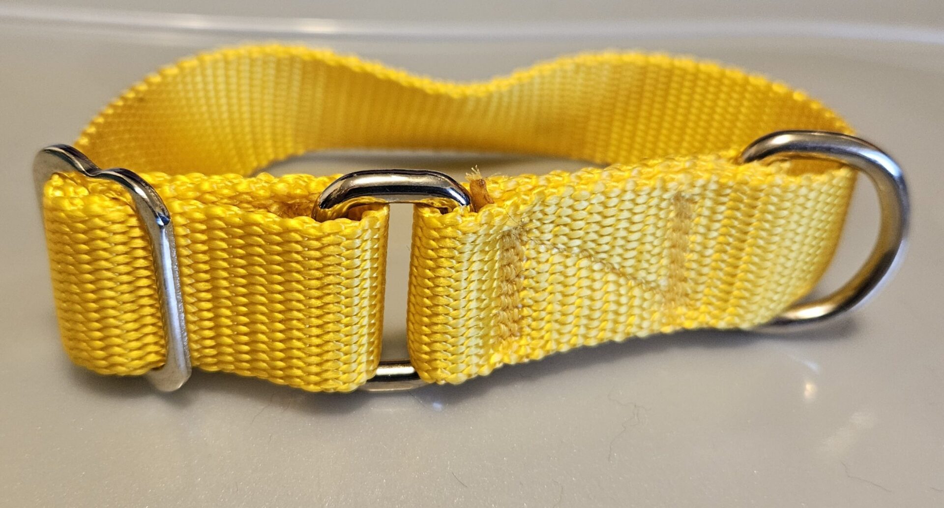 Collar – Klondike 1″ Yellow Small CLEARANCE