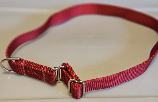 Collar – Klondike 3/4″ Red Large CLEARANCE
