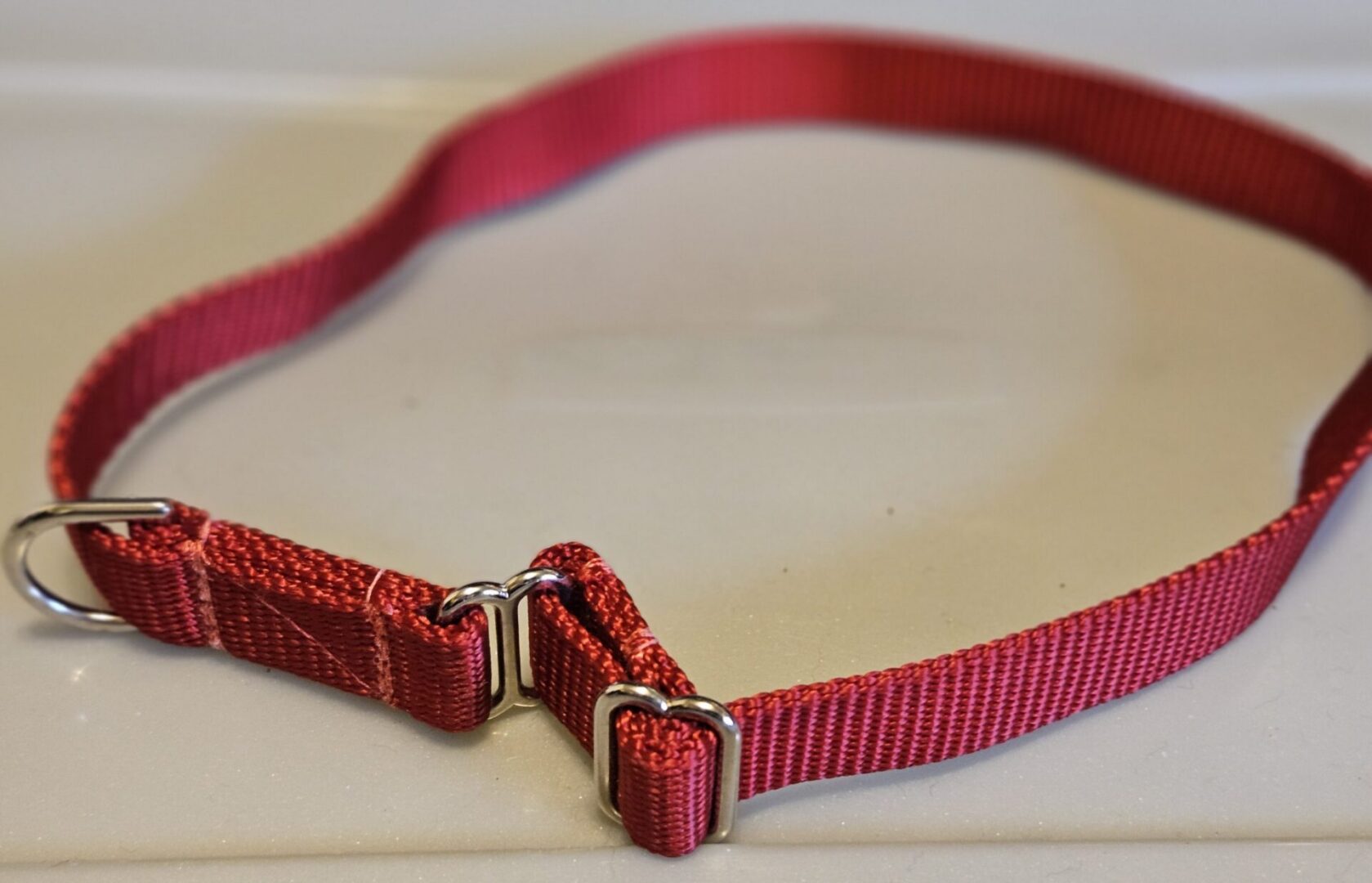Collar – Klondike 3/4″ Red Medium CLEARANCE